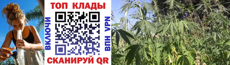 Купить закладку Ермолино МАРИХУАНА  Alpha PVP  Меф мяу мяу 