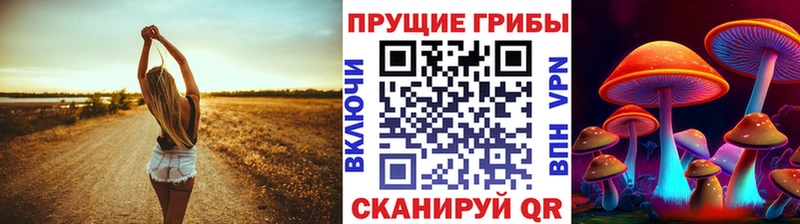 цены Ермолино Галлюциногенные грибы Psilocybine cubensis
